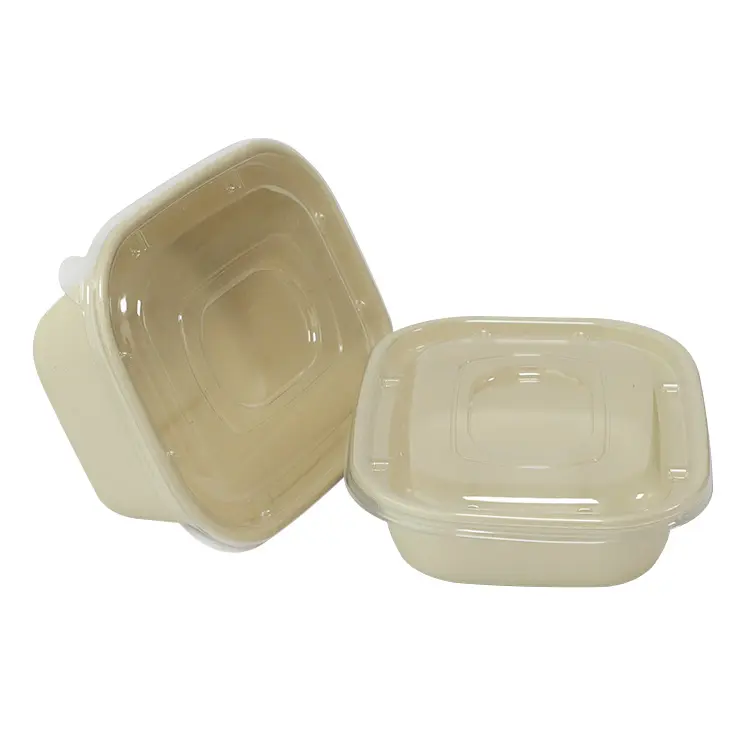 Biodegradable Bagasse Clamshell Box တခါသုံး ပန်းကန်ပြား အရည်အသွေးမြင့် ကြံအစားအစာ ကွန်တိန်နာ
