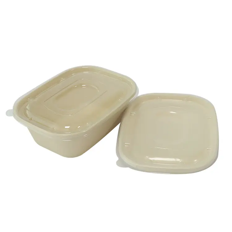 Biodegradable Bagasse Clamshell Box တခါသုံး ပန်းကန်ပြား အရည်အသွေးမြင့် ကြံအစားအစာ ကွန်တိန်နာ