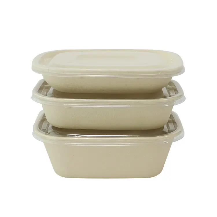 Biodegradable Food Packaging Disposable Bagasse Takeaway Food Container with Lid