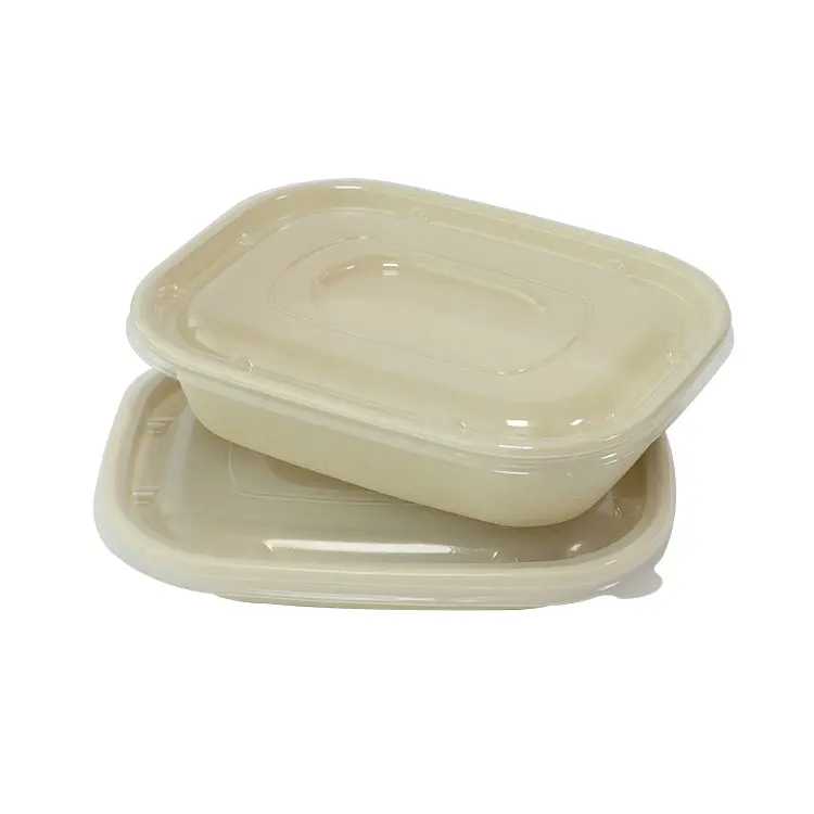 Biodegradable Food Packaging Disposable Bagasse Takeaway Food Container with Lid