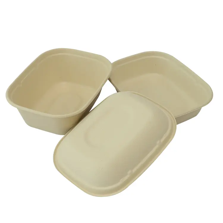 Biodegradable Food Packaging Disposable Bagasse Takeaway Food Container with Lid