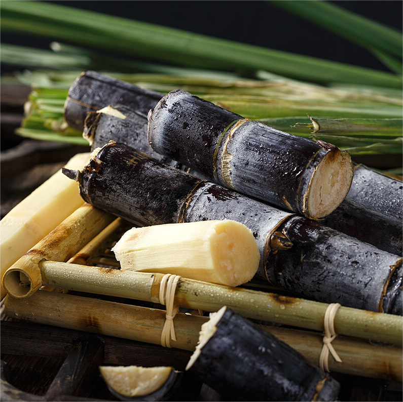 Do You Know the Many Uses of Sugarcane？