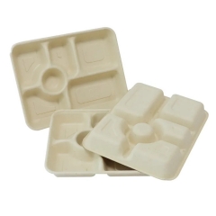 Hot Selling 6 Compartment Disposable Sugarcane Tray 100% Biodegradable Microwavable Bagasse Tray