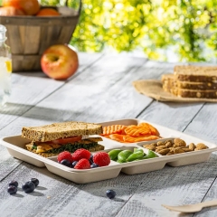 Bandeja de bagazo de caña de azúcar biodegradable compostable 100% para ensalada de verduras