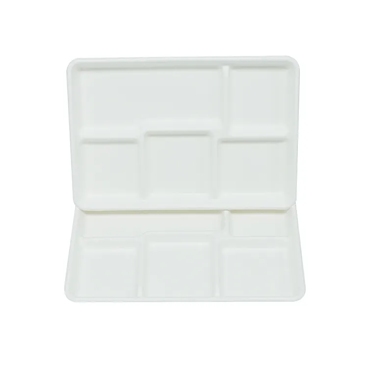 Biodegradable Microwavable Meal Sushi Trays Disposable Bagasse Lunch Tray