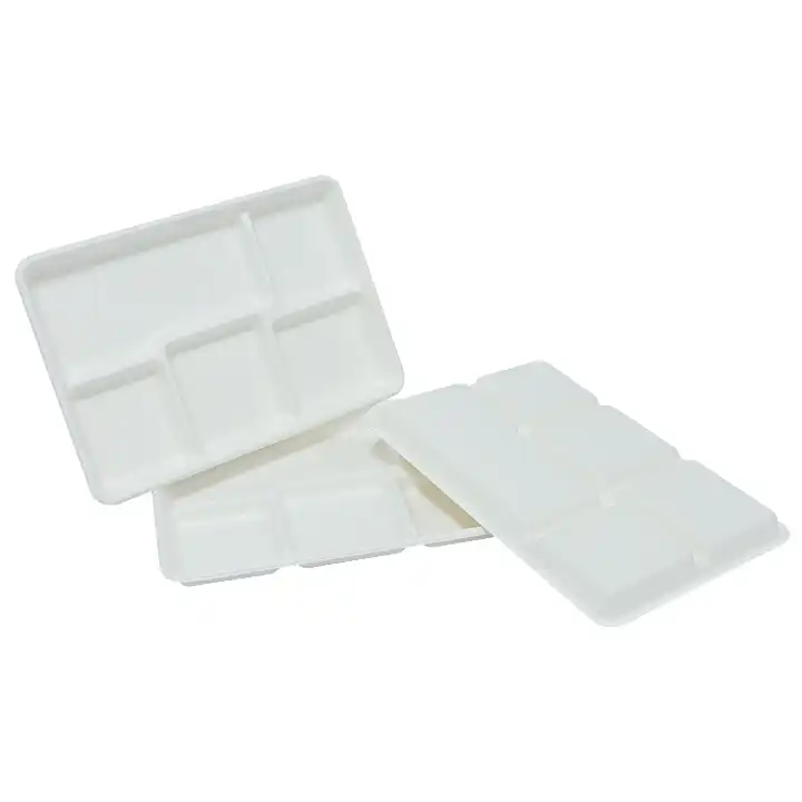 Biodegradable Microwavable Meal Sushi Trays Disposable Bagasse Lunch Tray