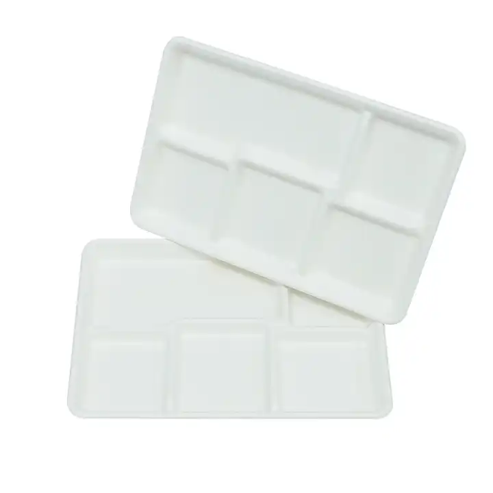 Biodegradable Microwavable Meal Sushi Trays Disposable Bagasse Lunch Tray