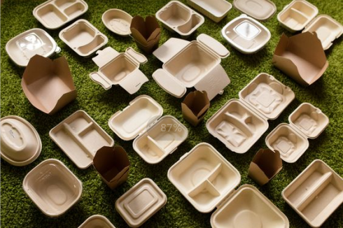 Difference Between Compostable and Biodegradable Tableware