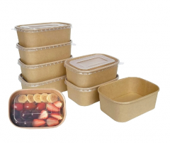 Square Disposable Bowls With Lid Microwaveable Biodegradable