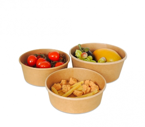 Customized 17oz salad bowl with lid 500ml paper salad bowl