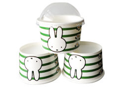 8 oz disposable bowls with lids