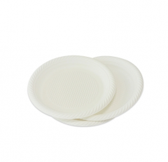 10Inch Oval disposable plates 10