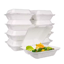 Cornstarch Food Container