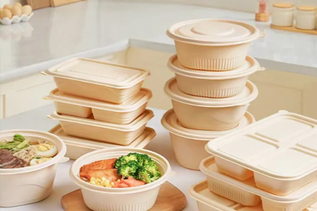 Biodegradable Disposable Food Packaging Materials