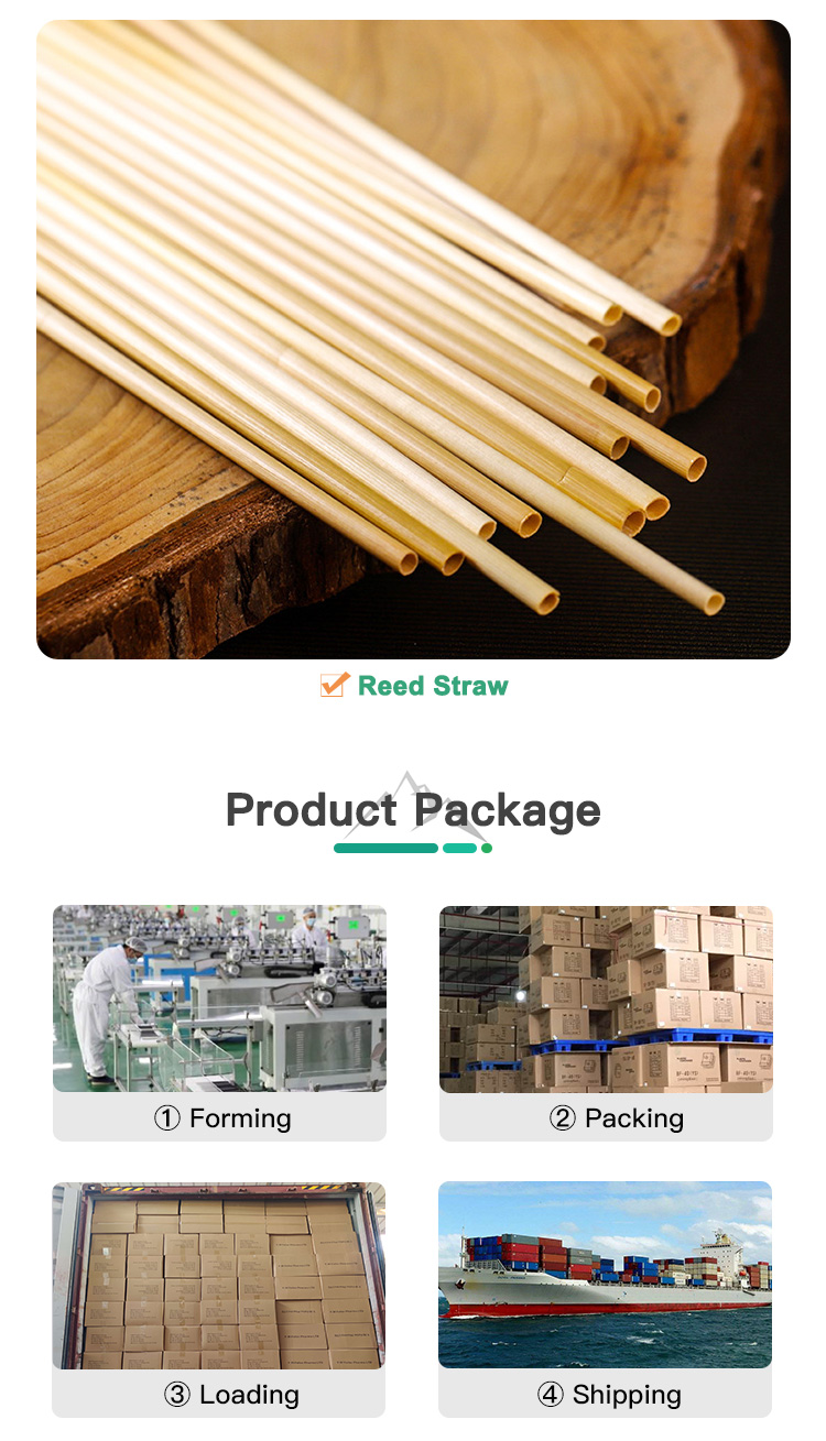 6*197mm Reed Straws
