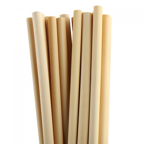 6*197mm Compostable Reed Straws