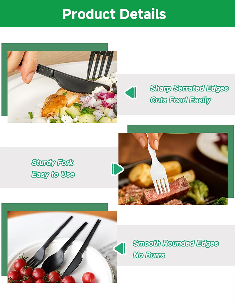 Eco-Friendly Colorful CPLA Ice Cream Spoons