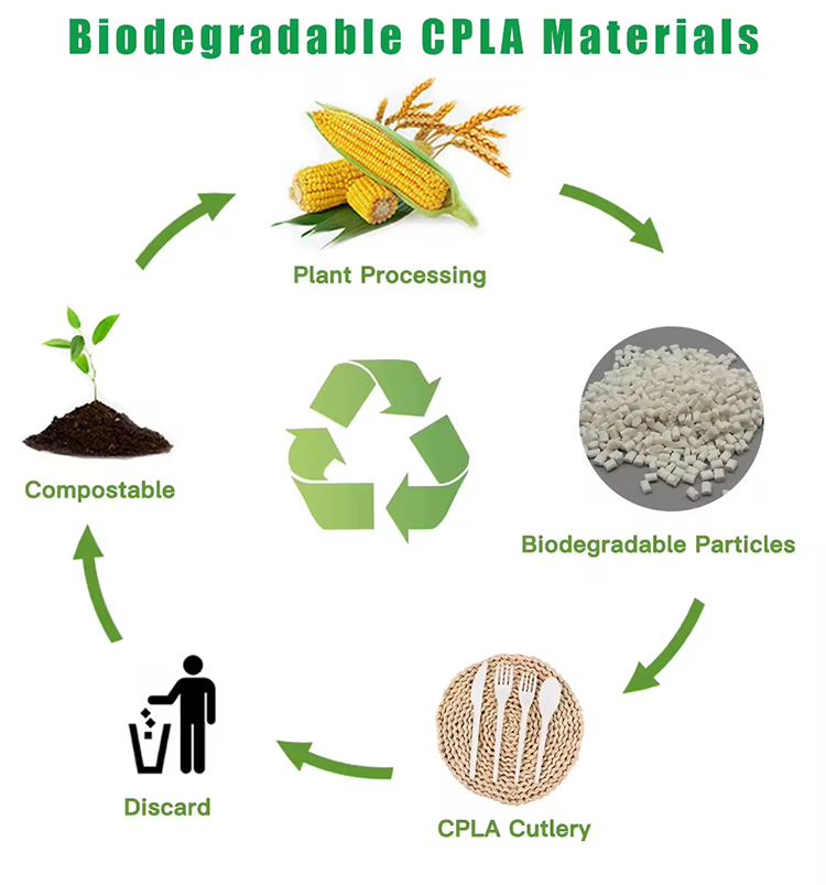 Eco-Friendly Colorful CPLA Ice Cream Spoons