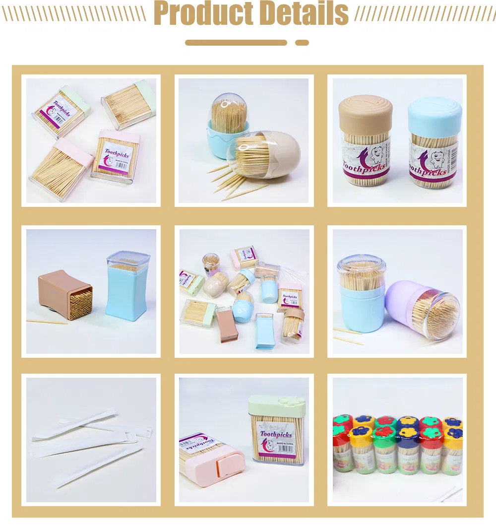 Bamboo Round Toothpicks With Storage Holder