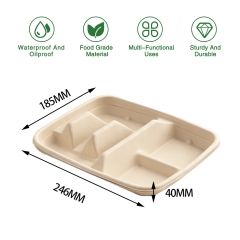 Compostable to Go Take Away Taco Container