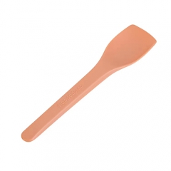 Eco-Friendly Colorful CPLA Ice Cream Spoons