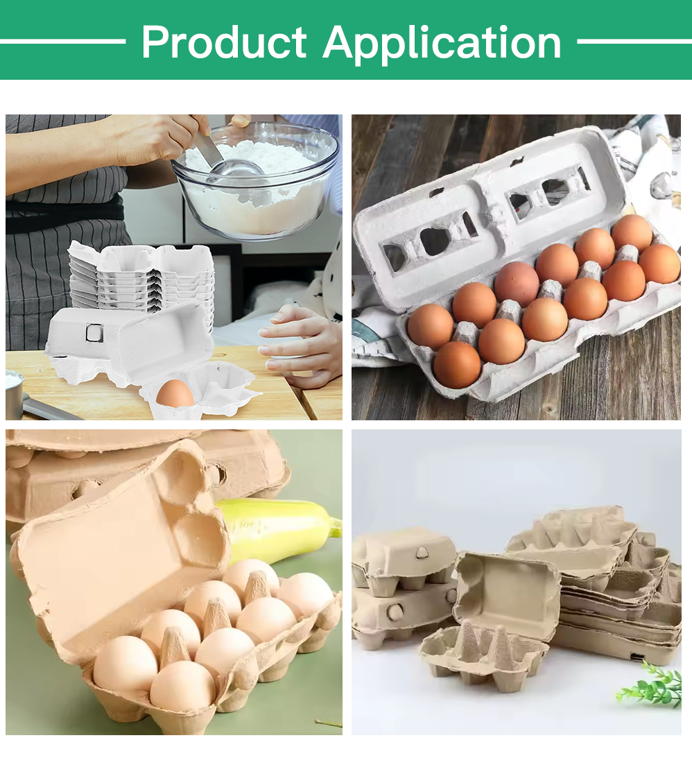 Biodegradable Color Paper Egg Boxes