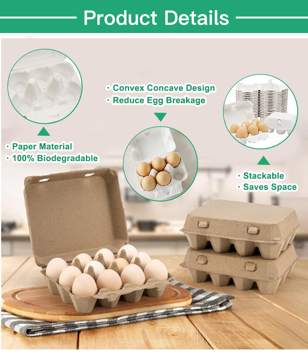 Paper Pulp Egg Cartons