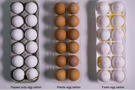 customized egg cartons