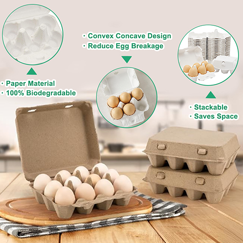 The Best Egg Cartons for Storing Eggs