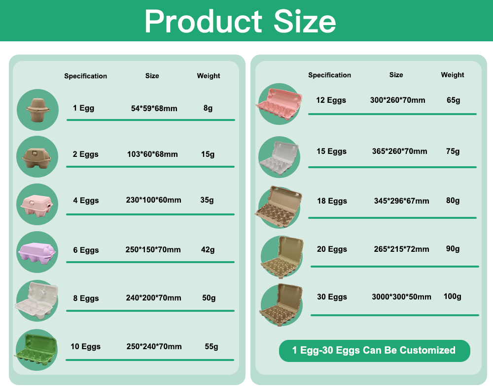 Carton Paper Egg Cartons Size