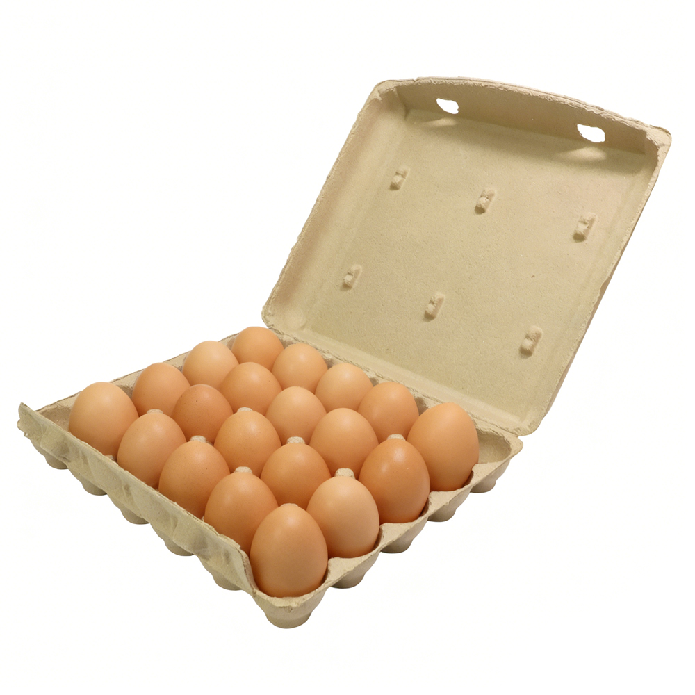 20 Cell Empty Paper Egg Cartons for Sale