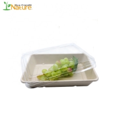 Bandeja de caña de azúcar de sushi 290ML