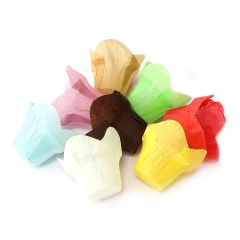 Colourful Tulip Baking Cup Liners