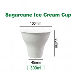 Mini Bagasse Dessert Bowls Disposable Sundae Ice Cream Cup