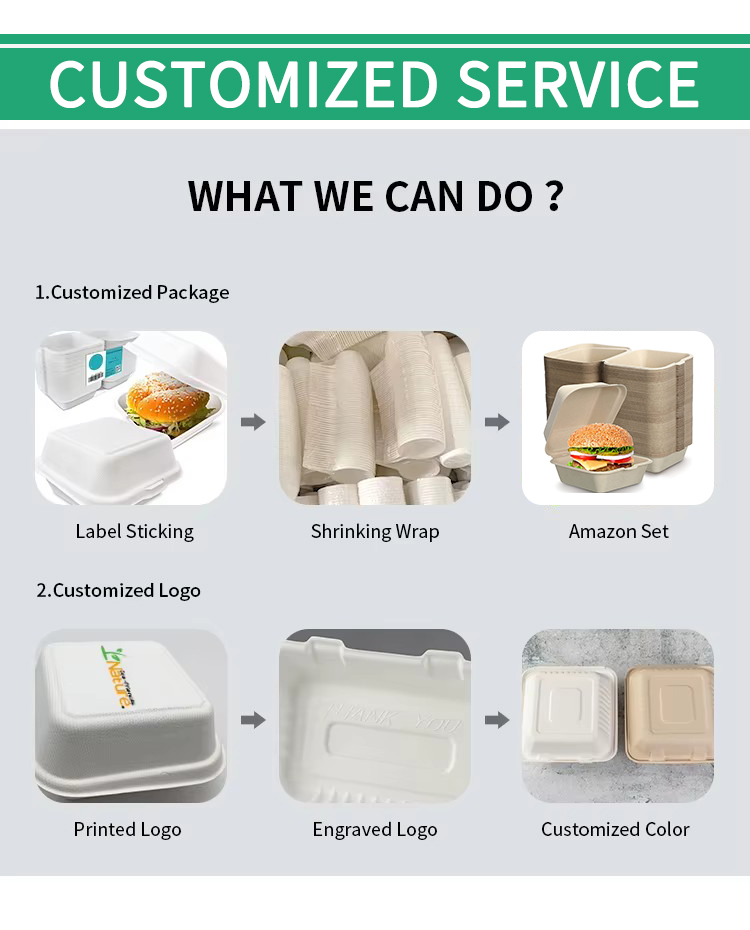 Sugarcane Clamshell Box 