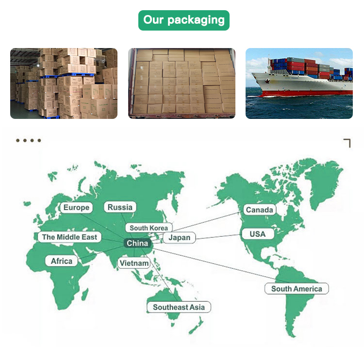 Octagonal Paper Plate Supplier