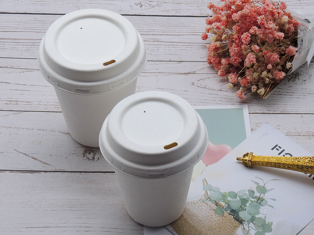 Bagasse Cups