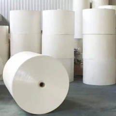 Supply Poly Coated Paper Roll Paper Cup Raw Materials