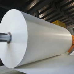 Supply Poly Coated Paper Roll Paper Cup Raw Materials