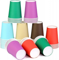 Disposable PLA Coated Kraft Paper Cup with Lids