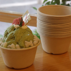 1 oz 2 oz 3oz 4oz Mini Disposable Sugarcane Bagasse Ice Cream Dessert Bowl