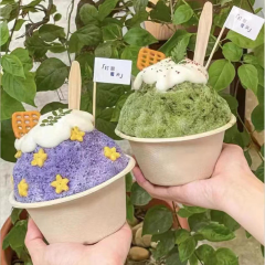 1 oz 2 oz 3oz 4oz Mini Disposable Sugarcane Bagasse Ice Cream Dessert Bowl