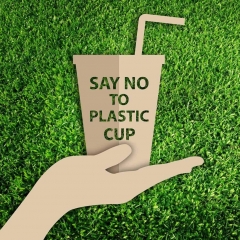 Compostable PLA Coffee Cup Smoothie Cup with Straw