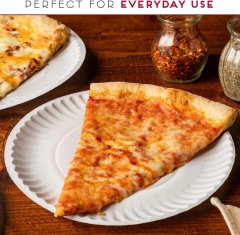 9 Inch Uncoated Paper Plates Bulk Pack