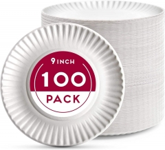 9 Inch Uncoated Paper Plates Bulk Pack