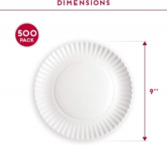 9 Inch Uncoated Paper Plates Bulk Pack