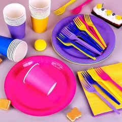  Custom Disposable Party Plate Party Tableware Set Party Supplies