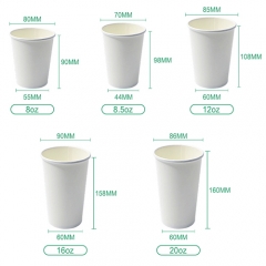  Bulk Printed 8 oz 12 oz 16 oz Compostable PLA Paper Cup 