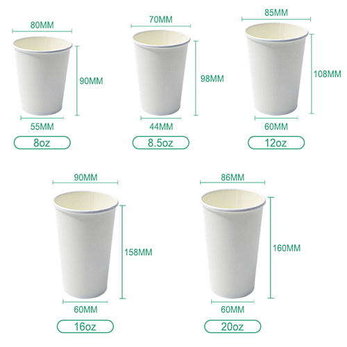  Bulk Printed 8 oz 12 oz 16 oz Compostable PLA Paper Cup 