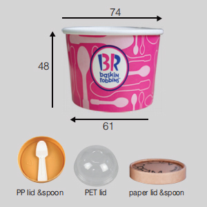 Disposable Frozen Dessert Cups with Lid Spoon Sets